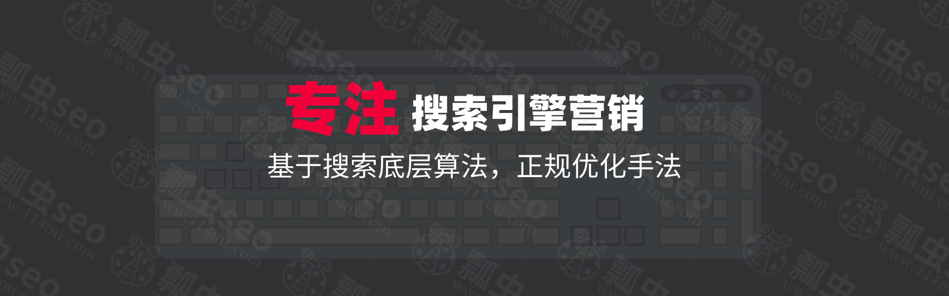 瓢虫seo，专注搜索引擎营销