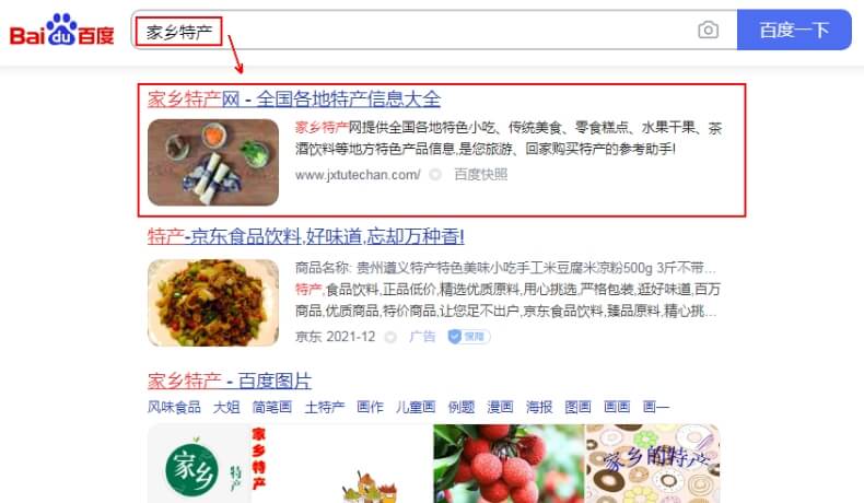 品牌词类网站优化案例