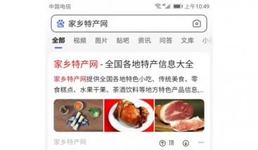 品牌词类网站移动端排名案例