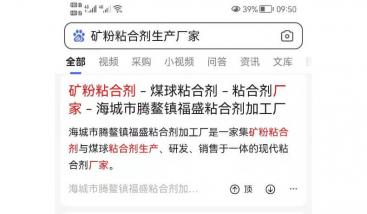 工业品类网站移动端排名案例