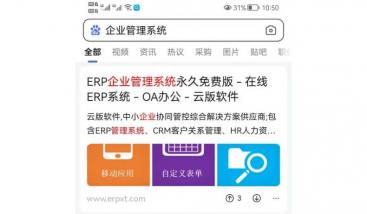软件类网站移动端排名案例