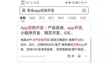 APP软件类网站移动端排名案例