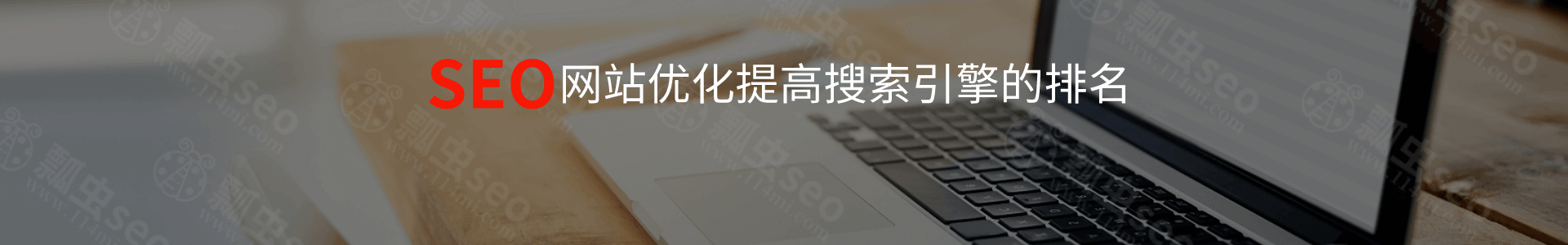 瓢虫seo，帮助企业网站提高关键词排名