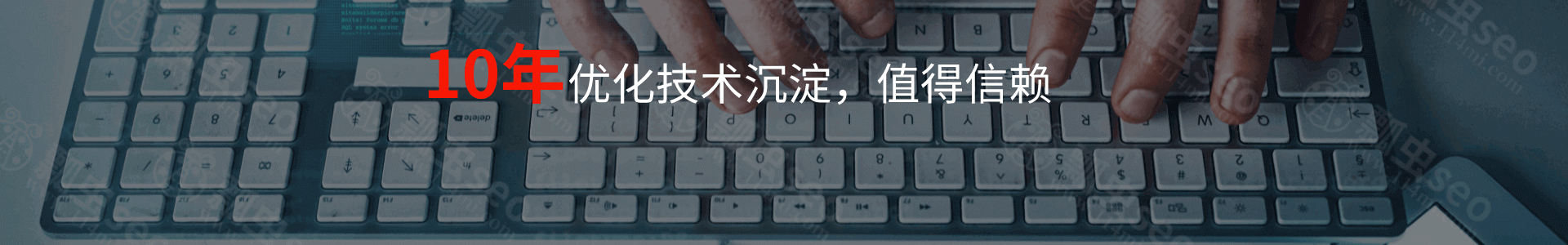 瓢虫seo，十年优化技术沉淀