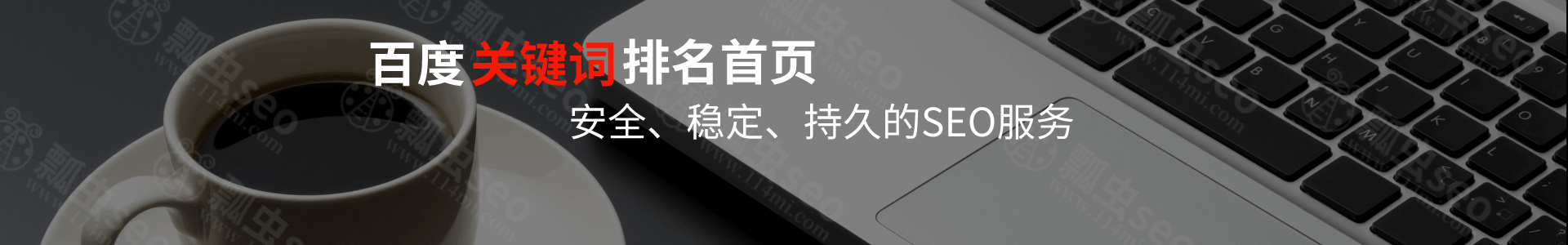 瓢虫seo，安全、稳定、持久的seo服务