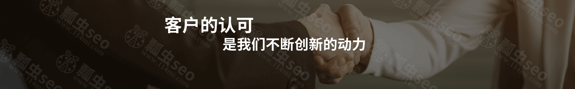 瓢虫seo，竭诚为您服务