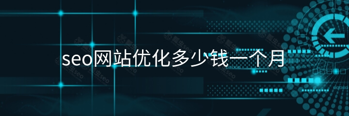 seo网站优化多少钱一个月